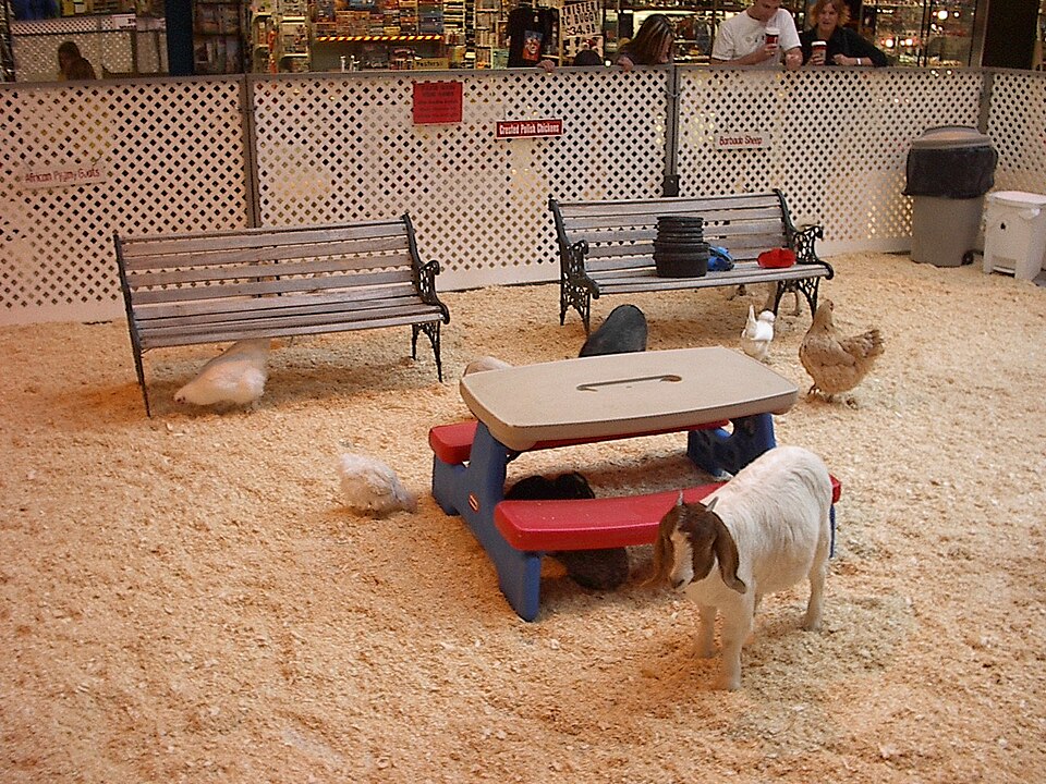 Dierentuin Animal Farm