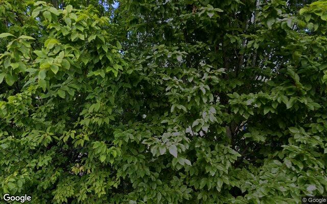 Speeltuin Bergeend