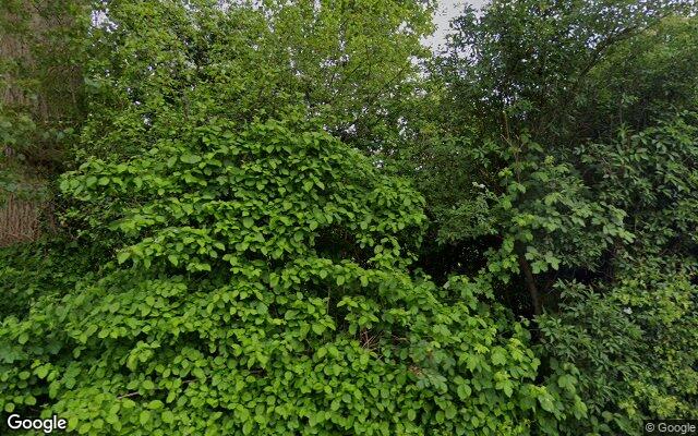 Speeltuin Beuninge