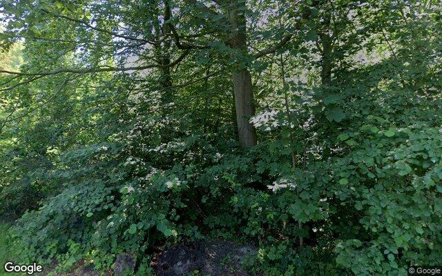 Speeltuin Reigerpad