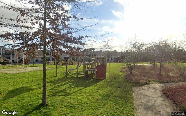 Speeltuin Canadese Gans