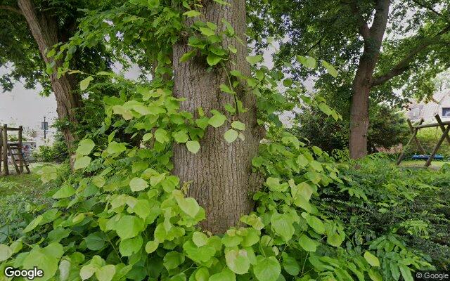 Speeltuin Oosterplantsoen