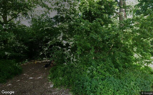 Speeltuin Iepenlaan