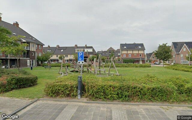 Speeltuin Rugstreeppad