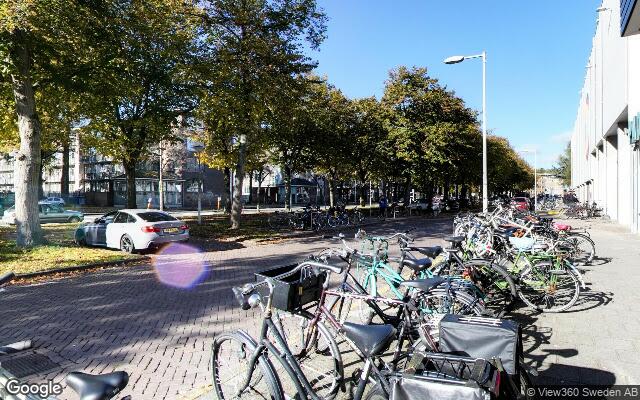 Beest Boulders Amsterdam