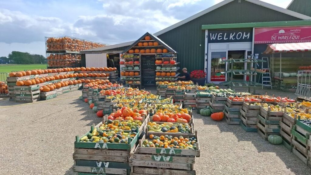 Fair de Marlequi in Noord-Holland