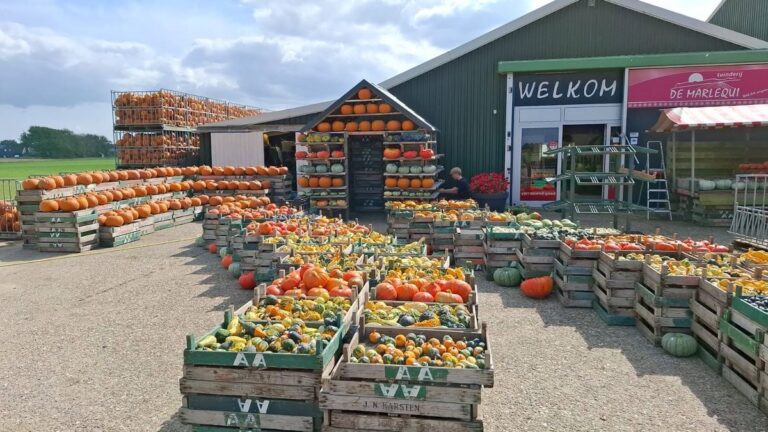 Fair de Marlequi — markt-eten in Noord-Holland