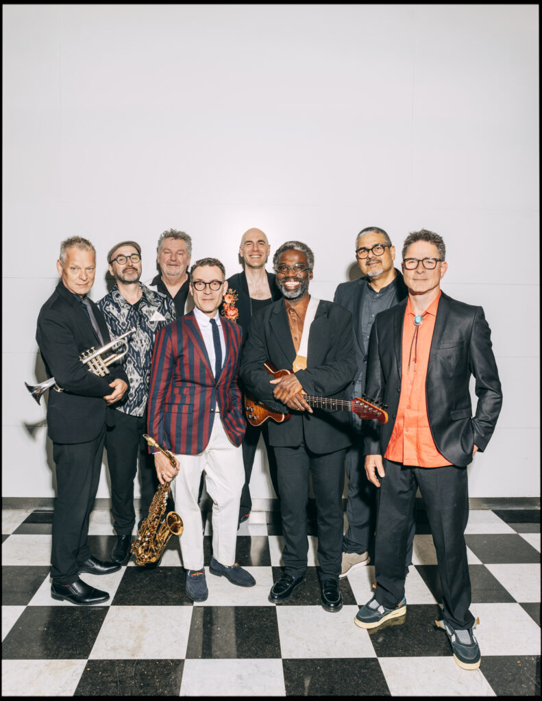 New Cool Collective in Noord-Holland