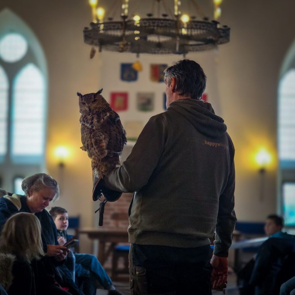 Uilenworkshop dinsdag in Noord-Holland