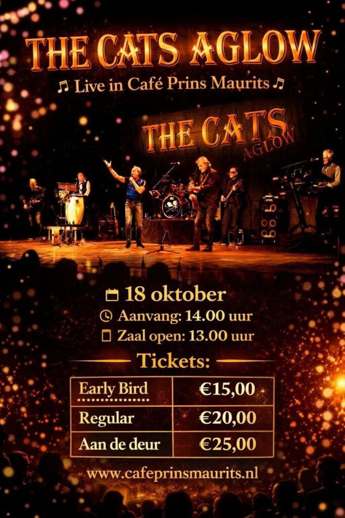 The Cats Aglow in Noord-Holland
