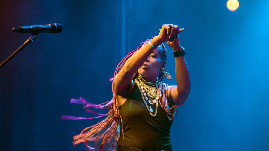 The Groovebuzz viert Album Release & 5 Jarig Bestaan! in Noord-Holland