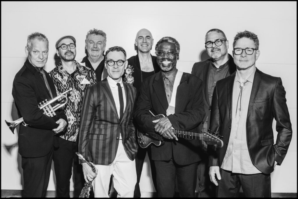New Cool Collective in Noord-Holland