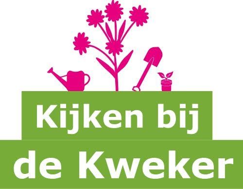 Kijken bij de Kweker in Noord-Holland