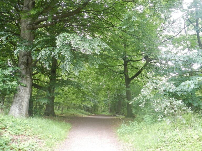 Wandelen door Huizen en bezoek woning Hansje Dol — Natuur in Noord-Holland