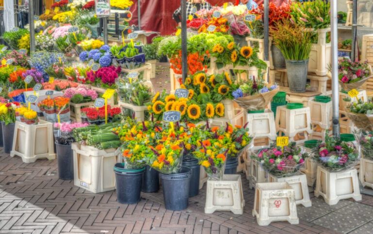 Fair de Marlequi 2026 — braderie-en-jaarmarkt in Noord-Holland