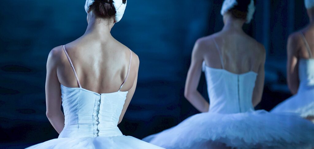 Het Zwanenmeer – Ballet van Staatsopera Bulgarije in Noord-Holland