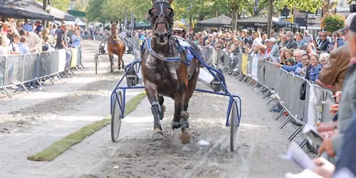 184e Harddraverij van Medemblik in Noord-Holland