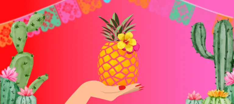 Piña — muziek in Noord-Holland