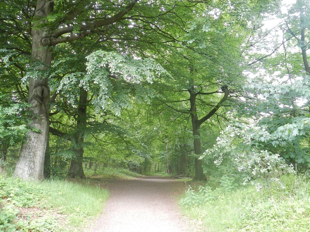 Walk of Peace in Noord-Holland