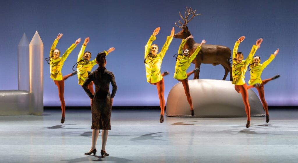 Swan Lake – Introdans in Noord-Holland