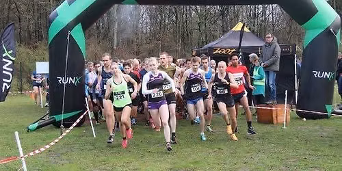 RunX Haarlemmermeersebos Cross – AV Haarlemmermeer — Sport in Noord-Holland