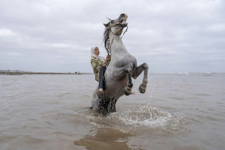 Opening World Press Photo Tentoonstelling 2026 − Fotomuseum Hilversum — museum-expo in Noord-Holland