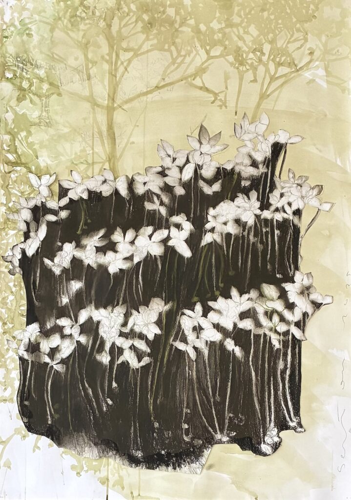 Expositie ‘Mixed Media on Paper’ van Caroline Serton. in Den Oever